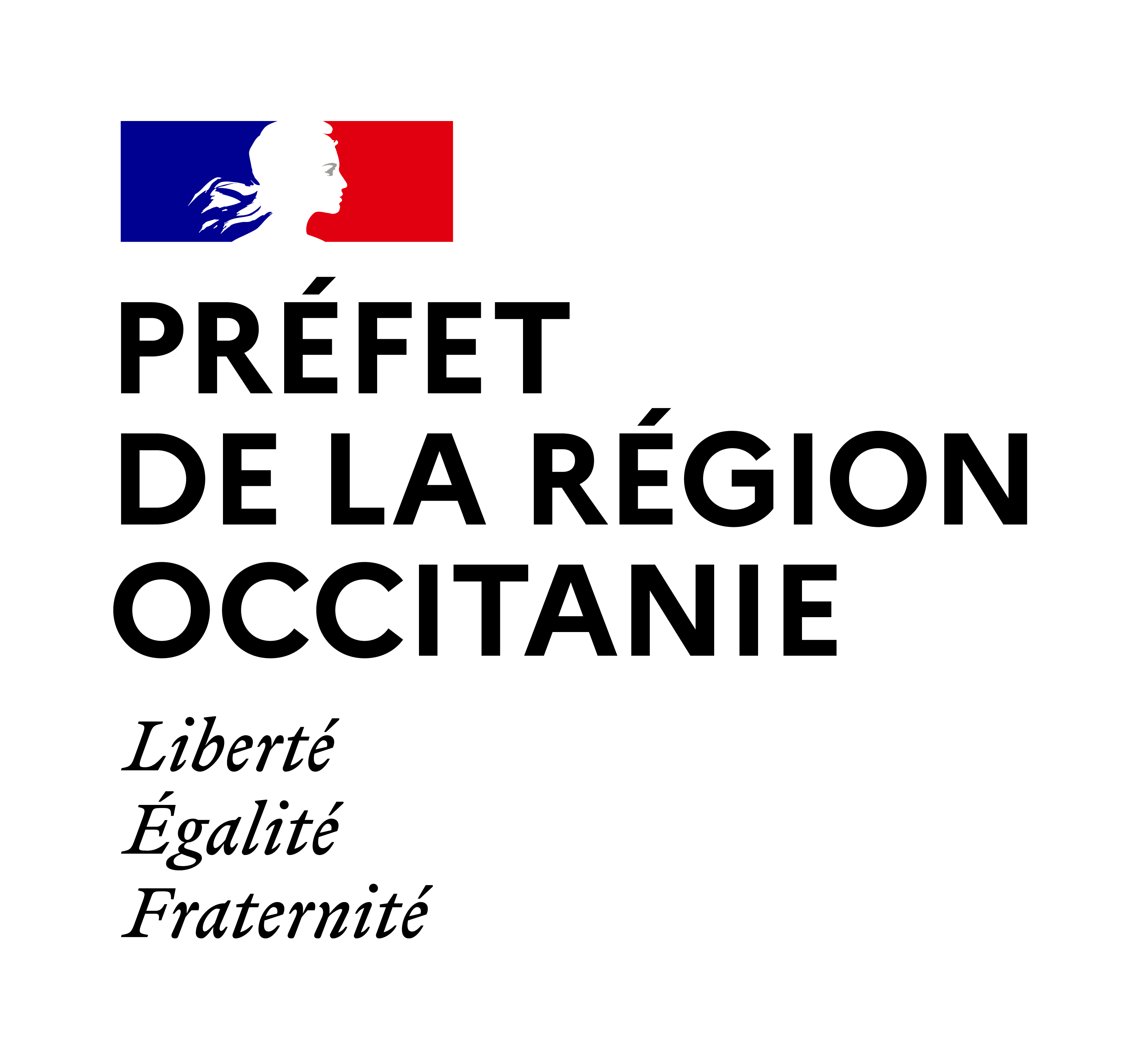Logo Direction régionale des affaires culturelles Occitanie